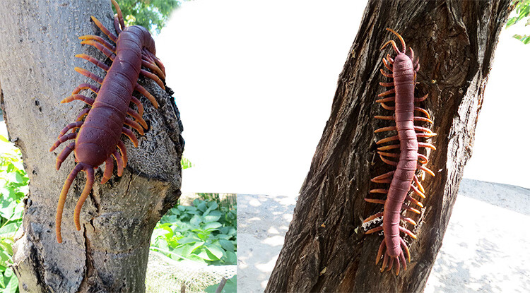 超大仿真软胶动物蜈蚣模型静态整蛊吓人昆虫软蛇儿童玩具恶搞道具超大