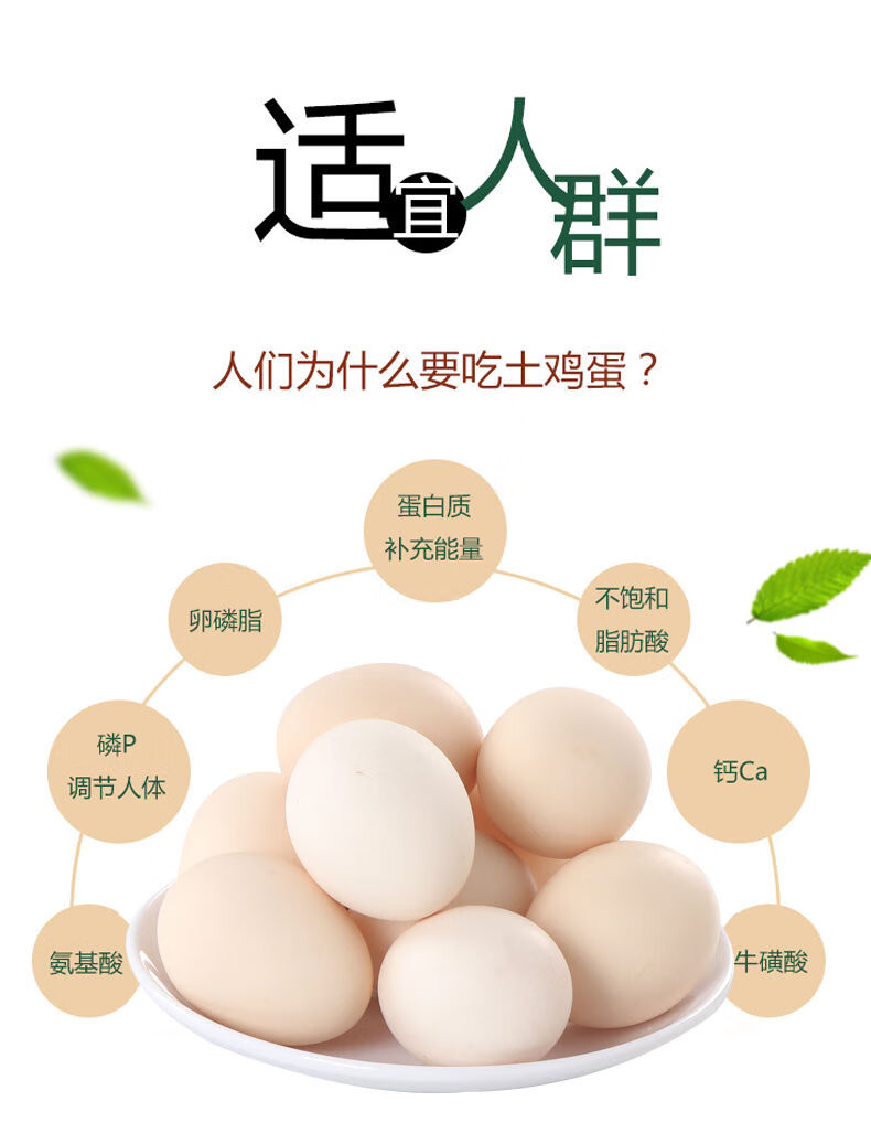 桃园正宗初生土鸡蛋 农家谷物虫草新鲜柴鸡蛋 笨鸡蛋 当日现捡 初生蛋