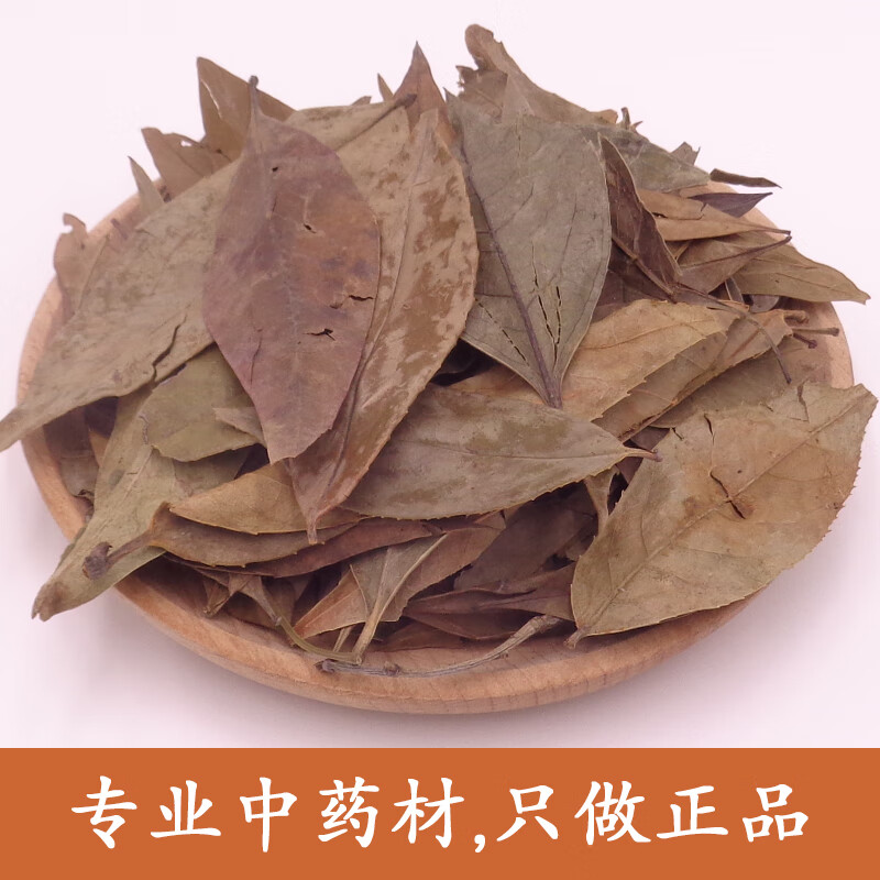 同仁堂南烛叶中药材南烛叶干货南烛叶乌饭叶南烛叶茶500g