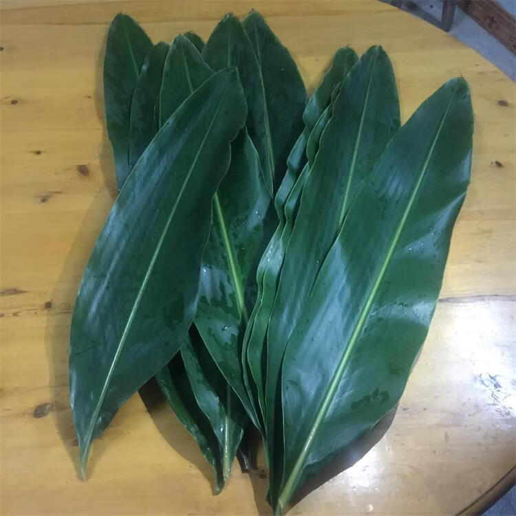 叶儿粑叶子四川宜宾猪儿粑叶子新鲜材料做鸭儿叶良现摘叶子10张