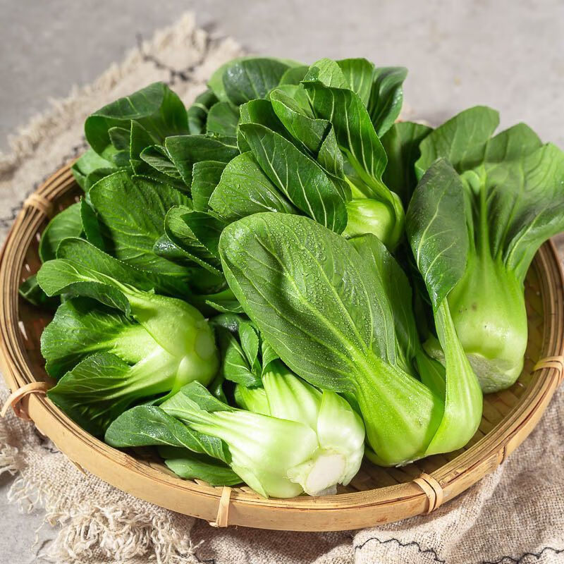 现摘上海青新鲜蔬菜上海崇明青菜无冻伤矮脚菜小青菜净重一斤装份量少