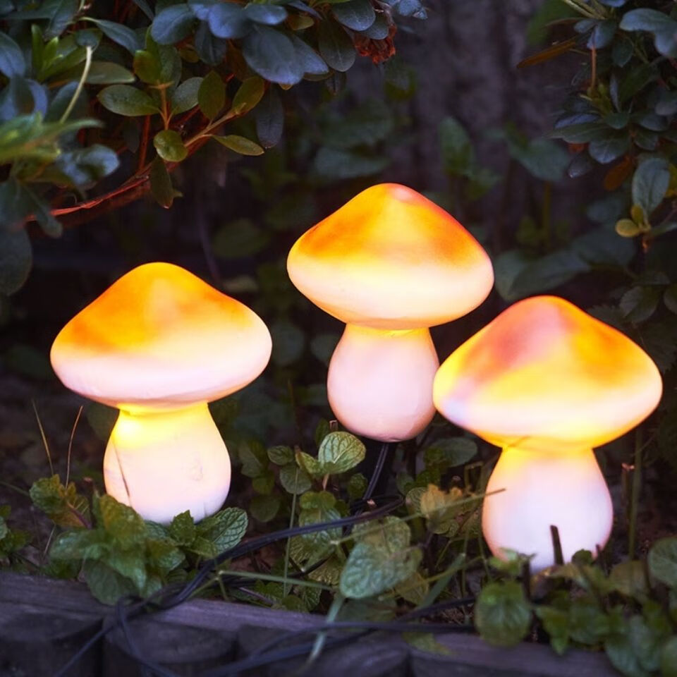 小蘑菇昨日如灯图片