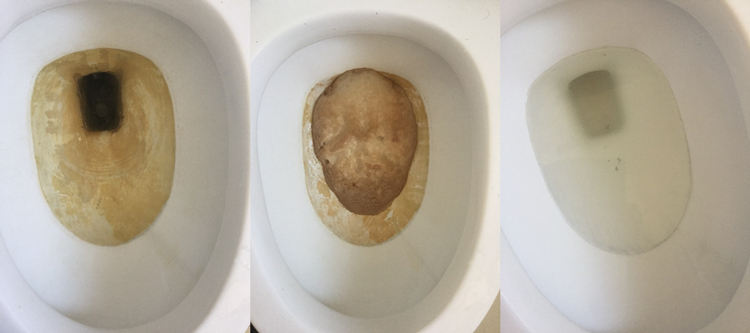 草酸清洁剂盐水洁瓷剂除垢厕所瓷砖卫生间污垢马桶尿垢除锈迹划痕 4瓶