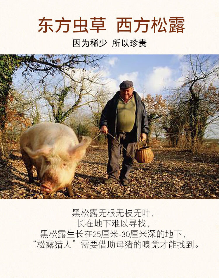 野生黑松露干片2cm下公黑片云南新鲜块菌猪拱菌干货特产煲汤蘑菇500g