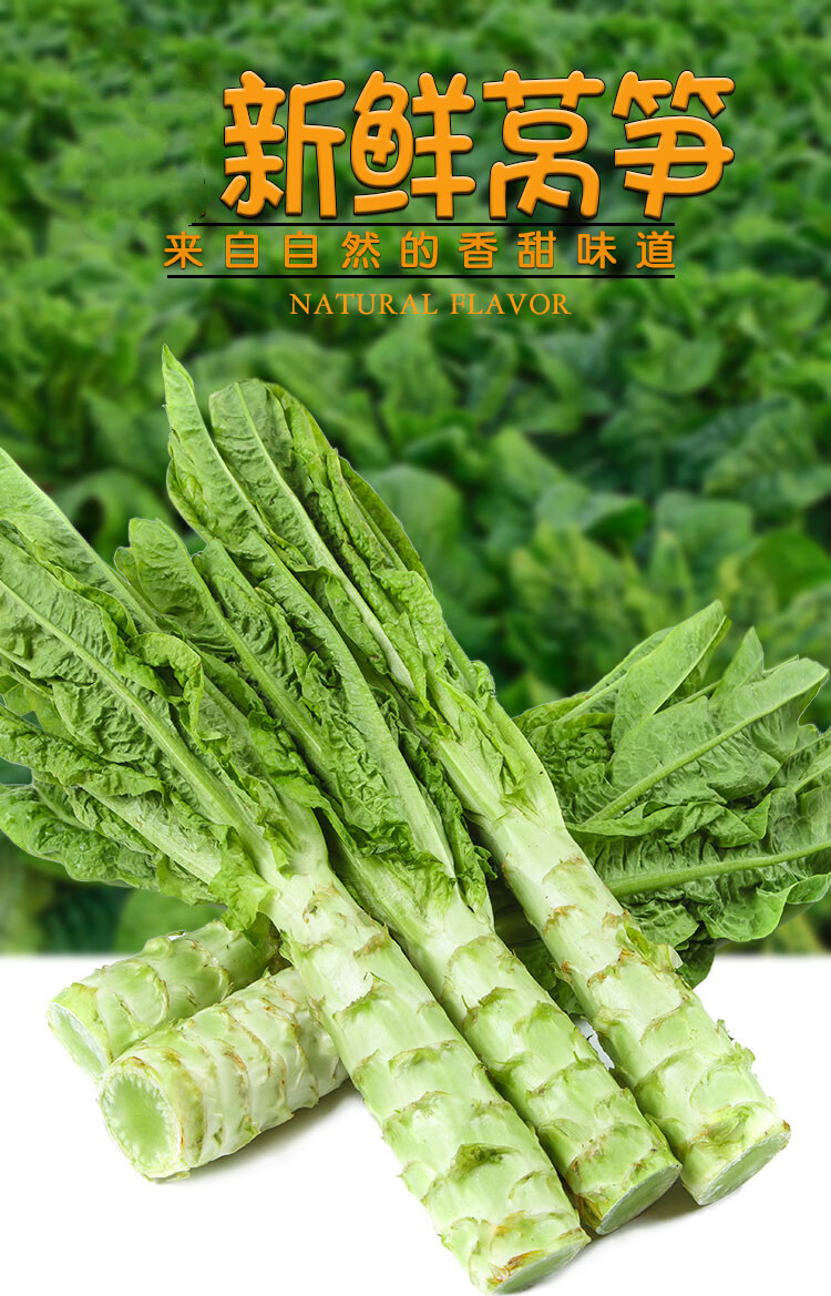 新鲜莴笋清脆带箱应季农家自种蔬菜青笋莴苣时令蔬菜团建生鲜10斤