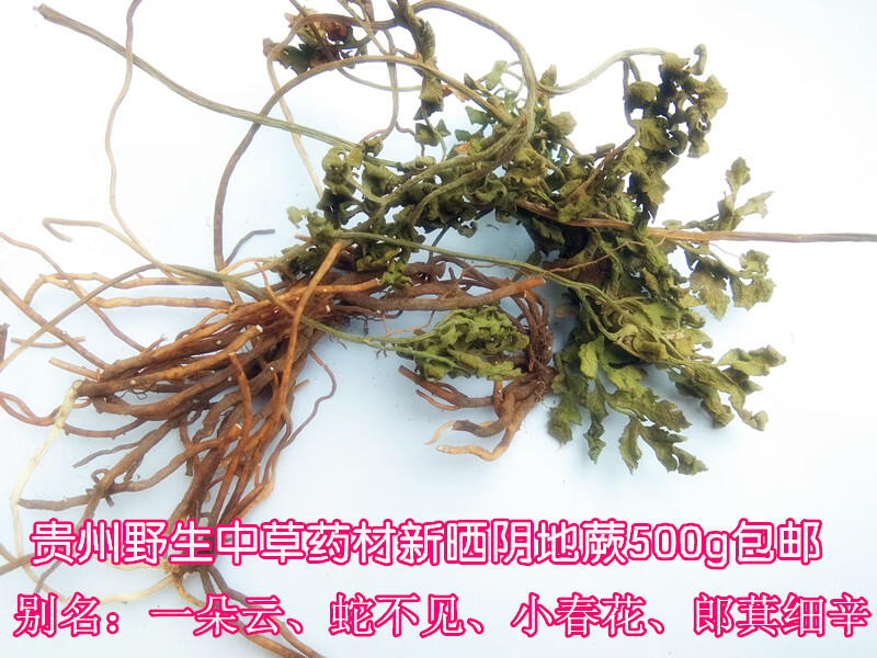 貴州草藥陰地蕨500g 農家自曬冬草小春花蛇不見郎萁細辛【圖片 價格