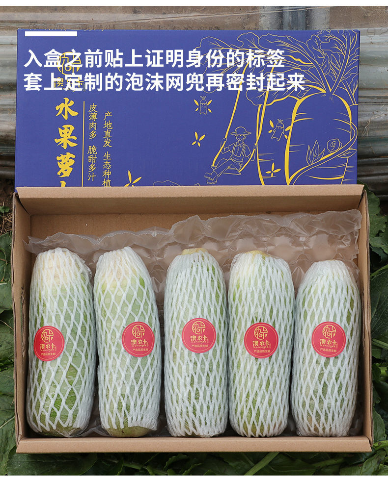 水果萝卜甜脆型沙窝潍坊新鲜正宗生吃青皮绿萝卜礼盒9斤水果萝卜普通
