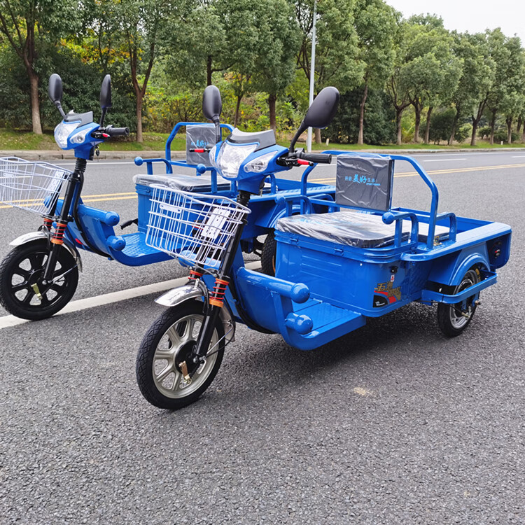 拉货的三轮车 电动三轮车代步车接孩子小型新款家用电瓶三轮车拉货
