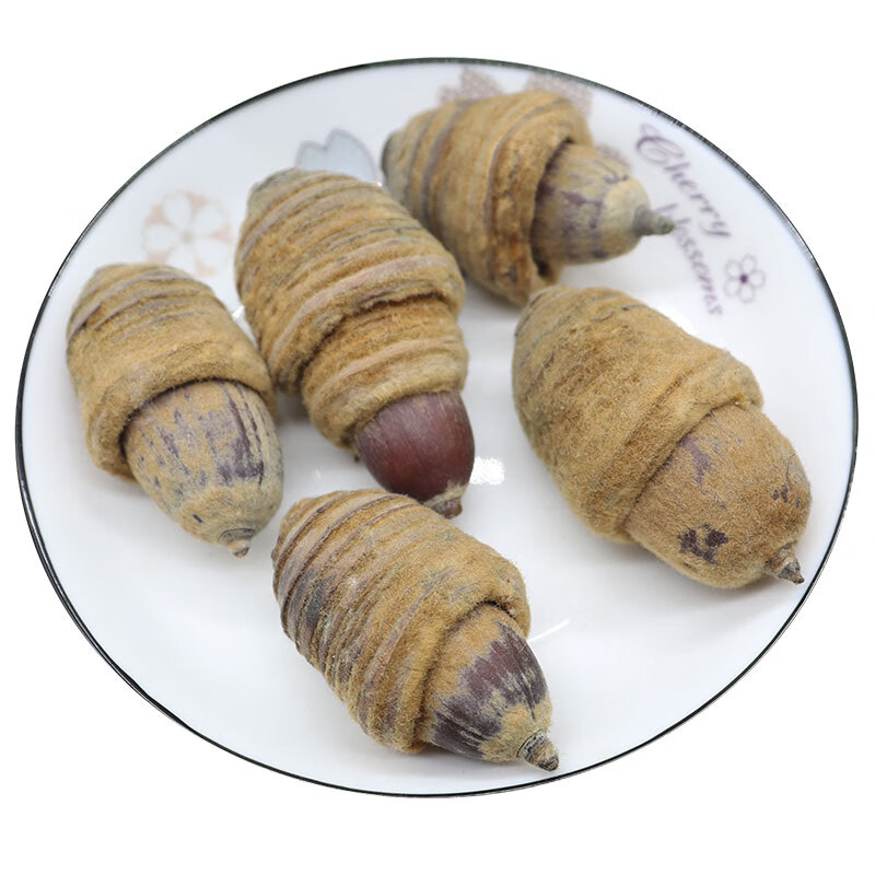 狗鞭果广西野生风流果猪仔粒男人泡酒料中药材干货毛毛大果锁阳果500