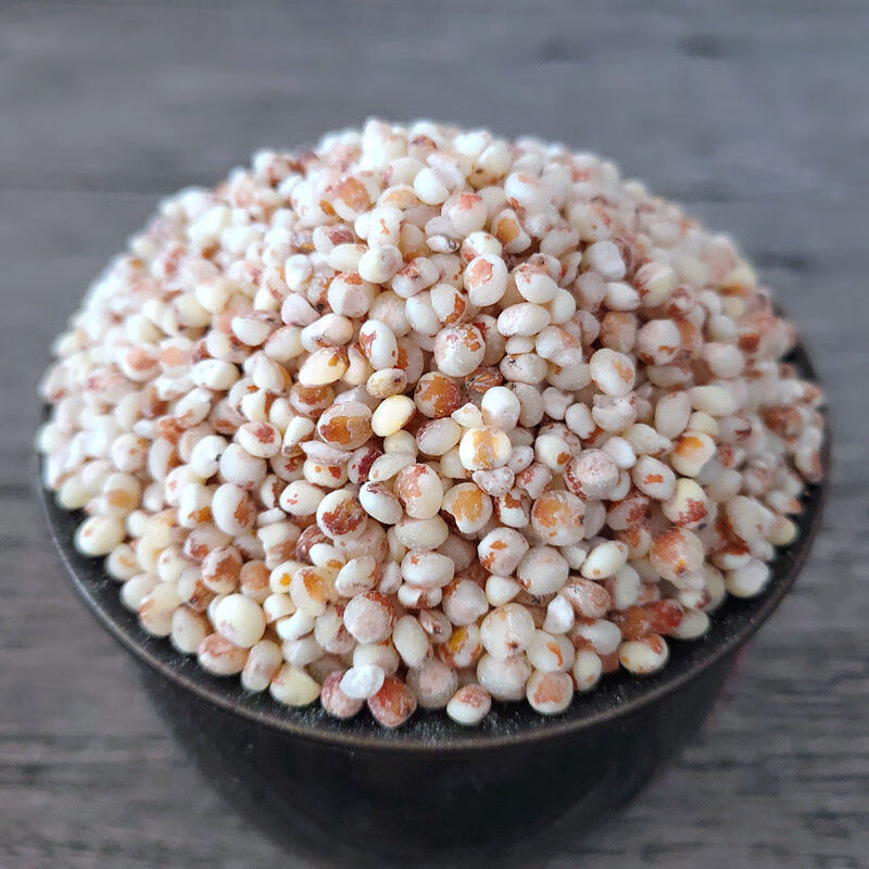 东北黑龙江特产红高粱米农家新粮高粱粗粮去皮食用普通红高粱米480克7