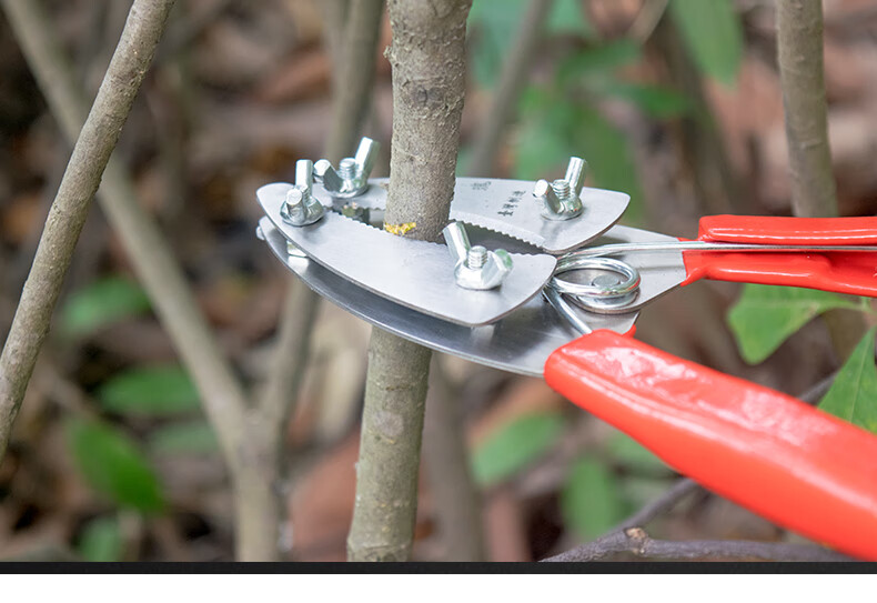 葡萄枣树环割刀 果树环割剪器 剥皮剪 适用直径1-7cm 双刃无锯齿环割