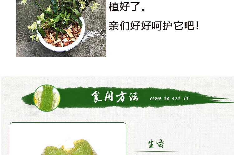 盆栽1斤可食用铁皮石斛苗霍山石斛兰兰花铁皮石斛苗一斤赠植料肥料不