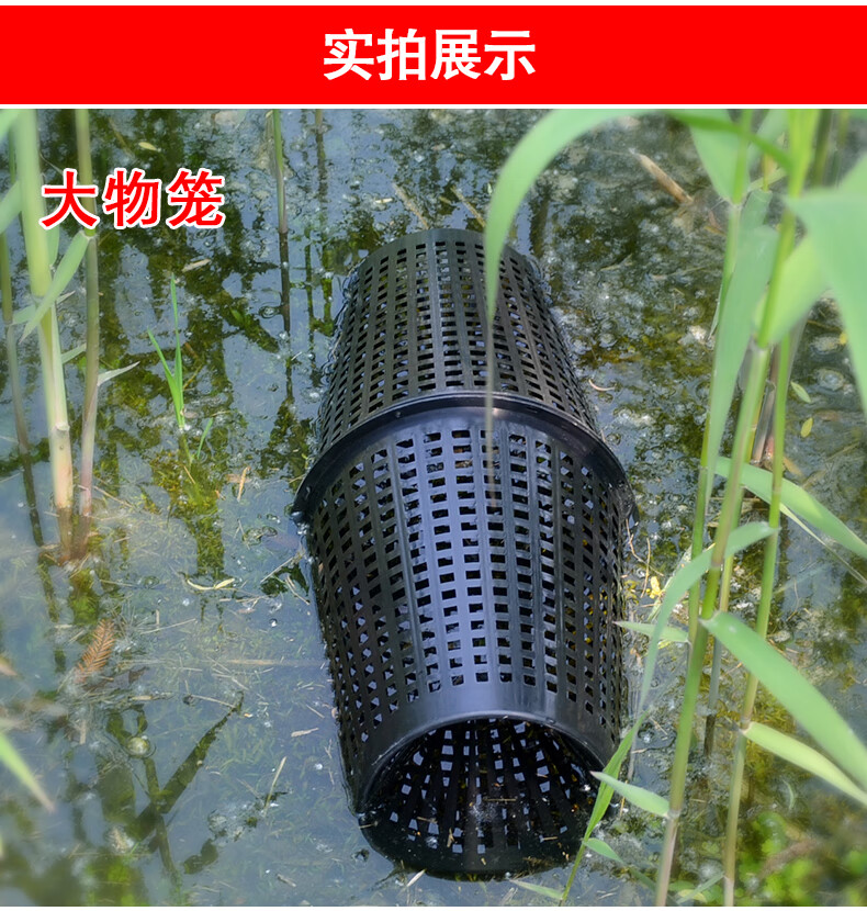 特大号黄鳝笼海鳗鱼塘鲺鲶鱼乌龟小龙虾河虾大鱼子渔具5个喇叭笼