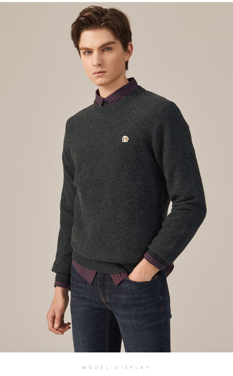 哈吉斯hazzys【phiz系列】 秋冬羊毛衫男英伦都市针织abyzd09di21 深