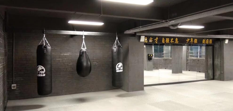2022fairtex沙袋加重超纤皮拳击沙袋吊式家用实心散打搏击跆拳道训练