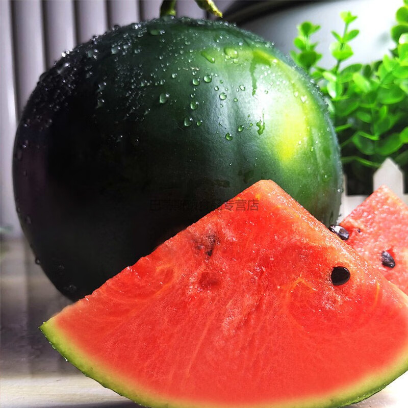 黑皮西瓜10斤新鲜应当季水果薄皮超甜黑美人非无籽麒麟瓜(预售) 爆甜