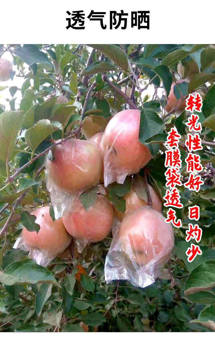 带扎丝苹果套袋塑料水果膜袋 套袋果袋梨桃 透气 17cm*20cm淡黄色透明