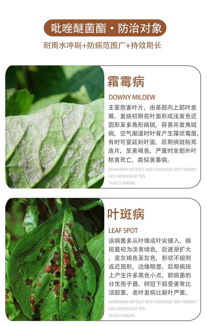 祥龙蓝翠25吡唑醚菌酯嘧菌酯蔬菜果树木多肉花卉叶斑黑星病炭疽灰霉病