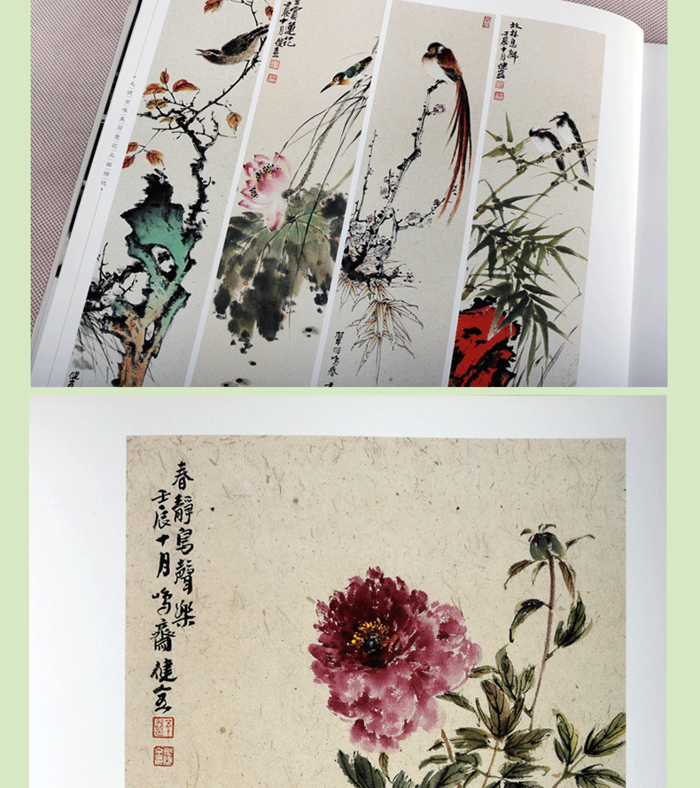 写意花鸟画集册名家国画国画书籍唯美写意花鸟画精选毛健全绘画书籍