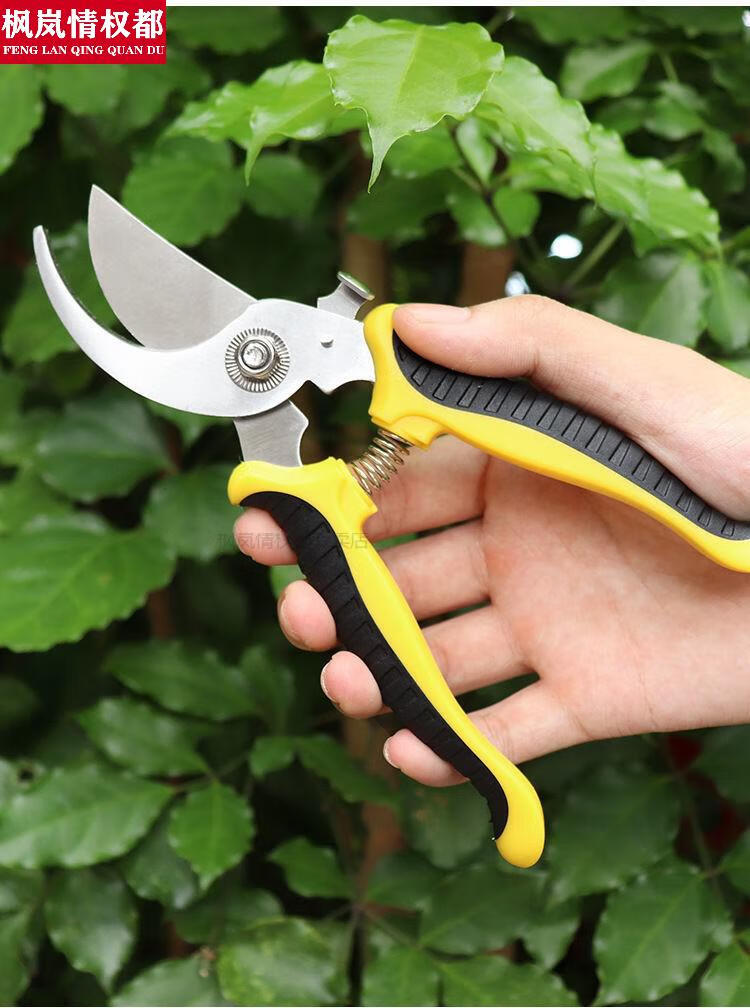 树枝修剪刀花艺盆栽剪子水果苗木剪花园艺剪刀剪树枝修剪剪树刀修枝剪