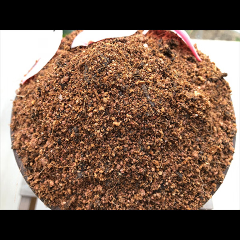 月季专用土月季土家用盆栽营养土酸性沙质泥碳土壤绿植种植土肥料