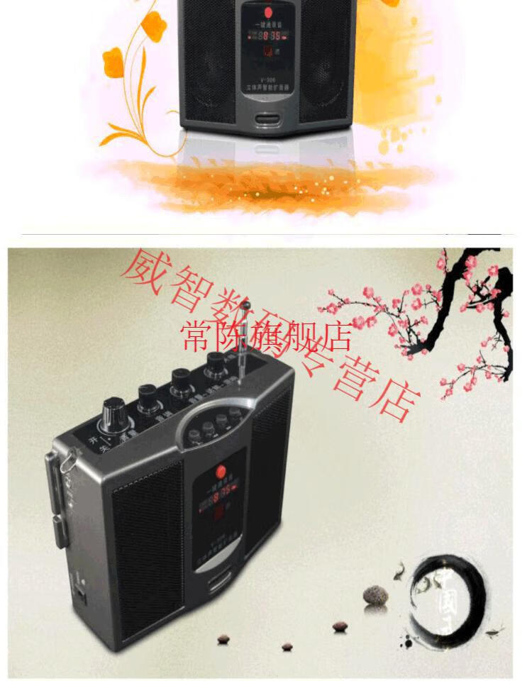 4g无线扩音器二胡吉他口琴古筝笛子萧神器扩音机录音 新 蓝色(二胡