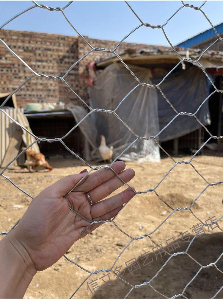 加粗六角拧花镀锌铁丝网养鸡围栏网养牛羊铁丝网圈地鱼塘果园围网 高2