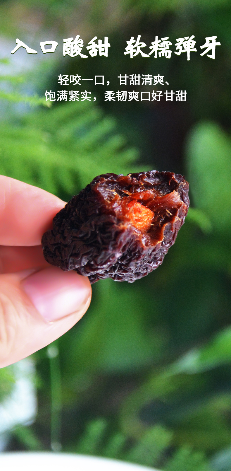 李子干适合孕妇早期解馋吃的酸味零食水果干蜜饯果脯李子干1袋半斤