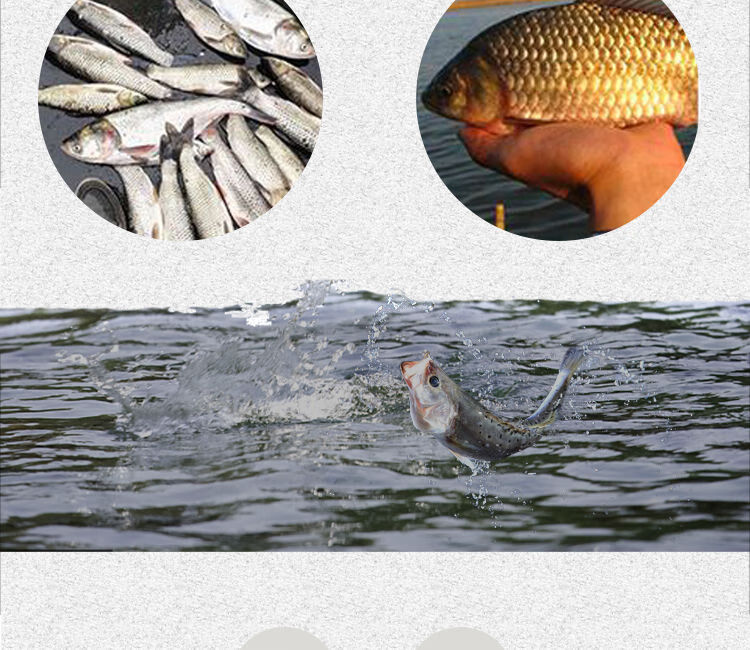 果酸香精钓鱼小药诱鱼剂鱼食饵窝料添加剂鲫鱼鲤草青野钓黑坑圆梦100