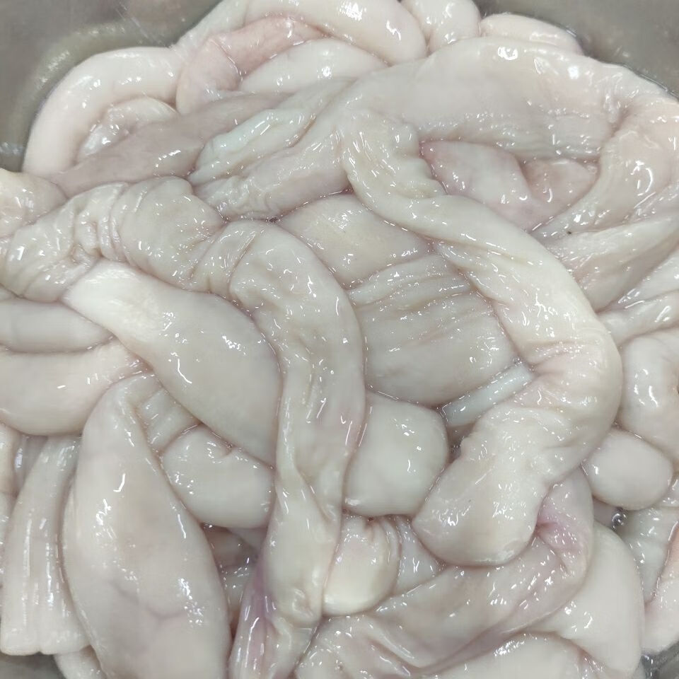 羊肥肠 清真国产新鲜羊肥肠大肠冷冻商用羊杂烧烤羊下水肥油肠子生 5