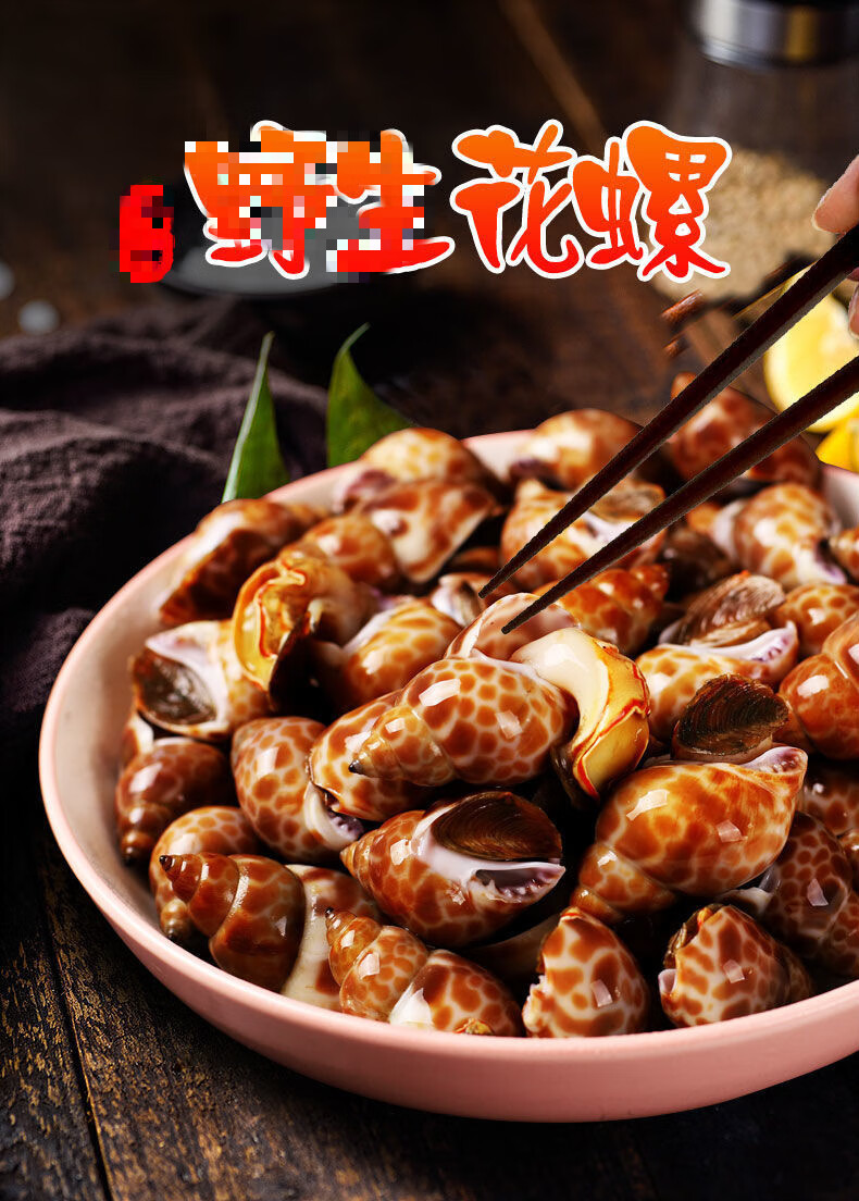 福茹洲 新鲜大花螺 花螺鲜活冷冻 新鲜东风螺海螺海猪螺海鲜水产 精选