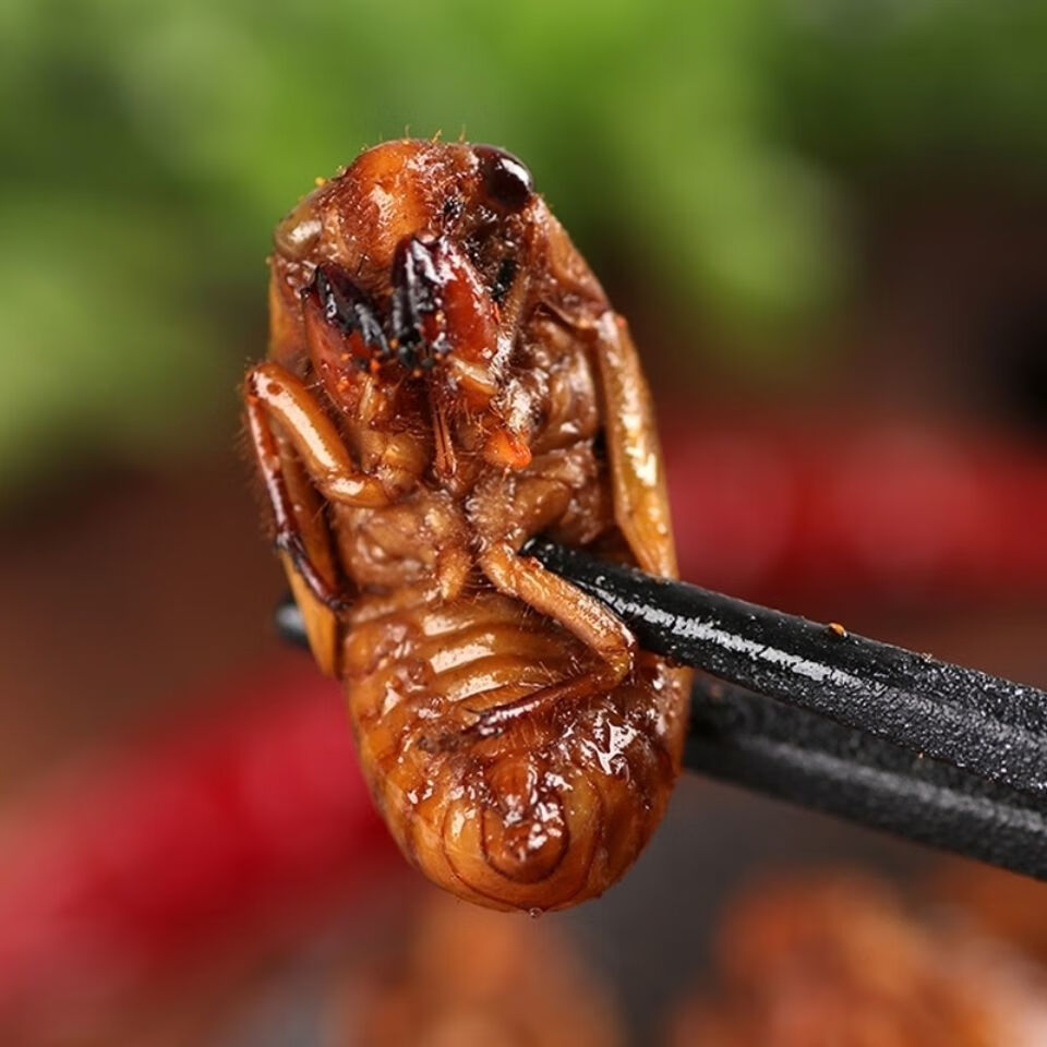 油炸知了猴山东特产炸金蝉新鲜蝉蛹即食唐僧肉香辣知了龟现炸现卖炸