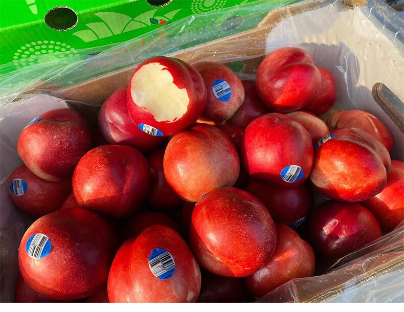 澳洲油桃新鲜水果当季整箱香甜大桃子现发孕妇黄白肉蜜桃1斤尝鲜装