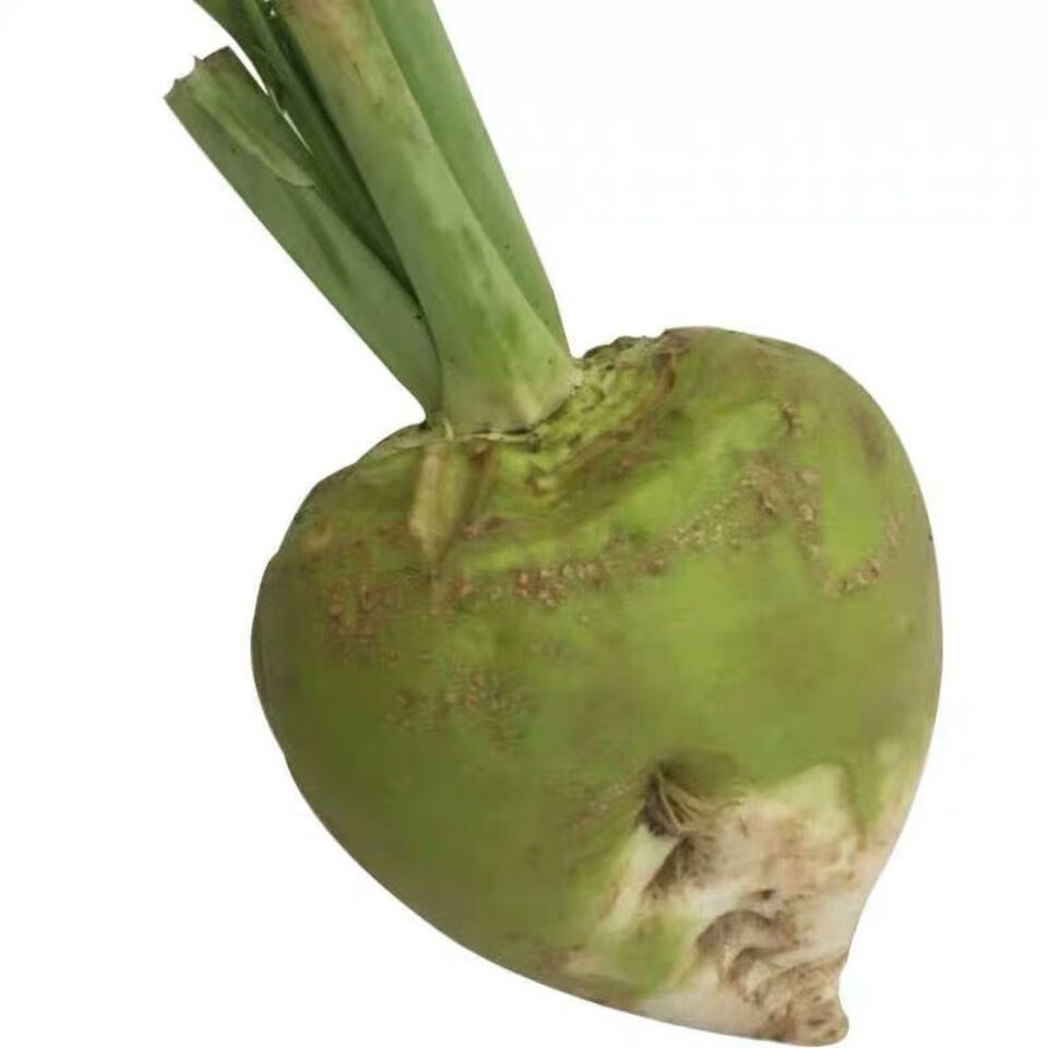 青樱红荔新鲜芥菜疙瘩丝大头菜芥菜头辣菜大缸腌制咸菜下饭菜5斤 带箱