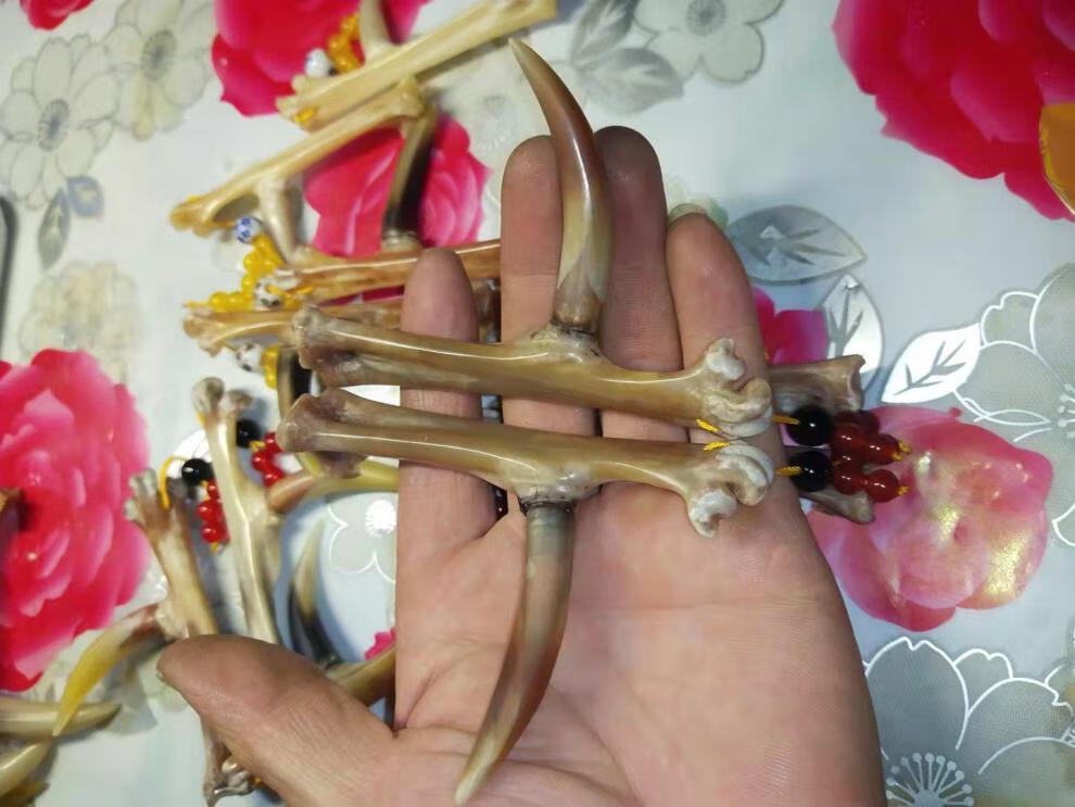 高品质土鸡文玩鸡蹬子鸡爪骨手把件盘玩鸡拐子冷门文玩男士随身把玩抓