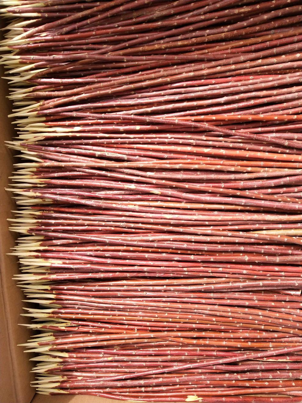 红柳木烤肉签子新疆红柳枝烧烤枝签子红柳木烧烤签子红柳烤肉签子 40