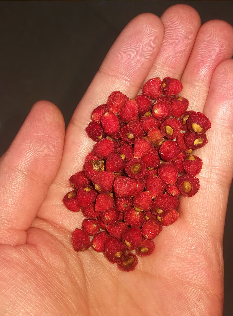 0kg店铺:千恒食品专营店商品编号:10048443373444商品名称:红豆杉果子