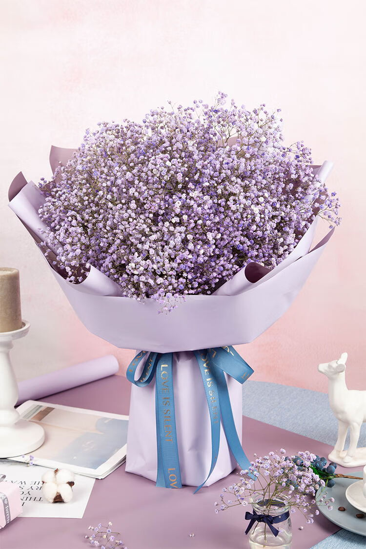 满天星天然干花花束大束大送女朋友闺蜜老婆生日礼物品同城配送 青春