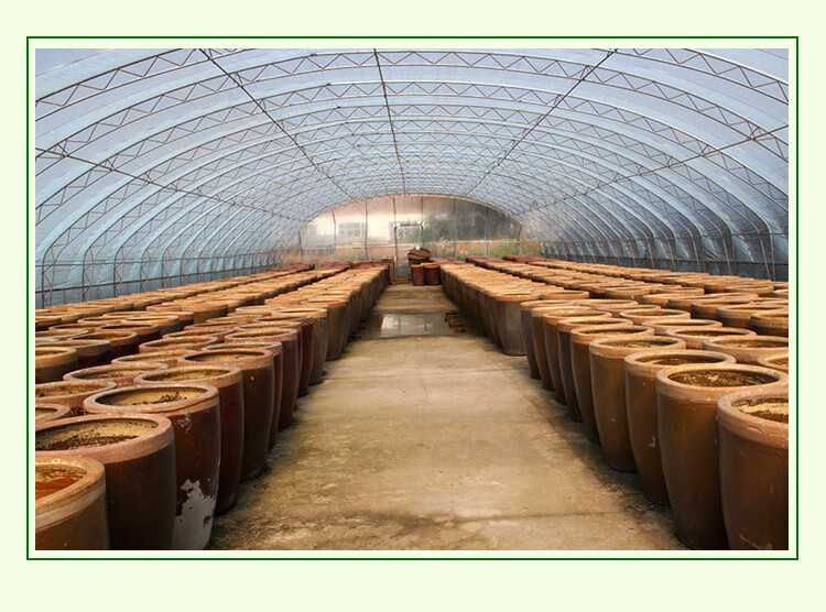 东北农家大酱农村大缸黄豆酱正宗传统生酱臭酱村时500克 1斤【图片