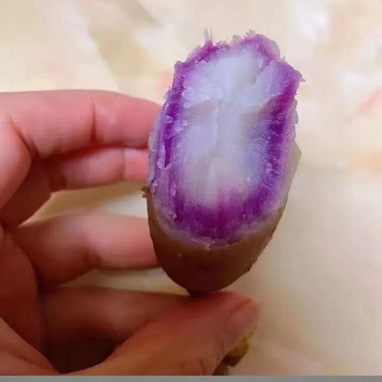 红瑶玛莎莉红薯紫心蜜鸣门金时紫水晶澳洲紫白红薯一点红哈蜜红薯 红