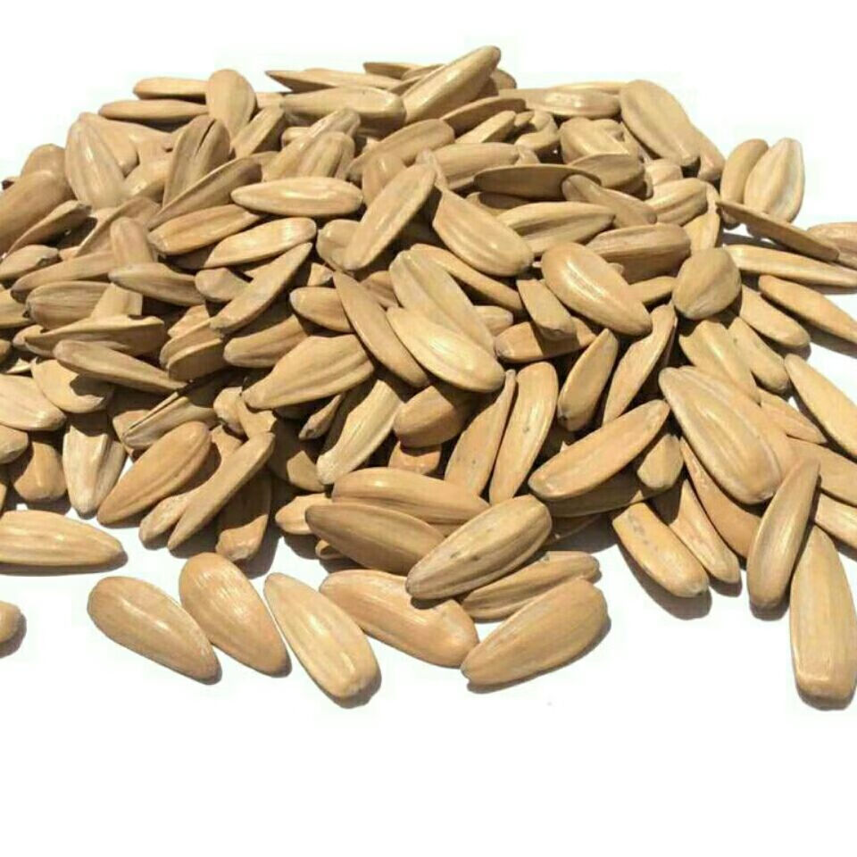 泰山打手瓜子 450克 煮制磨皮袋装白皮休闲办公室零食 打手瓜子450克*