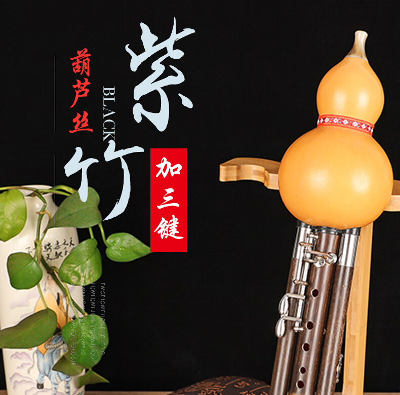 王大叔加键葫芦丝王大叔加键葫芦丝紫竹fgc降b调成人学生9孔新艺加键