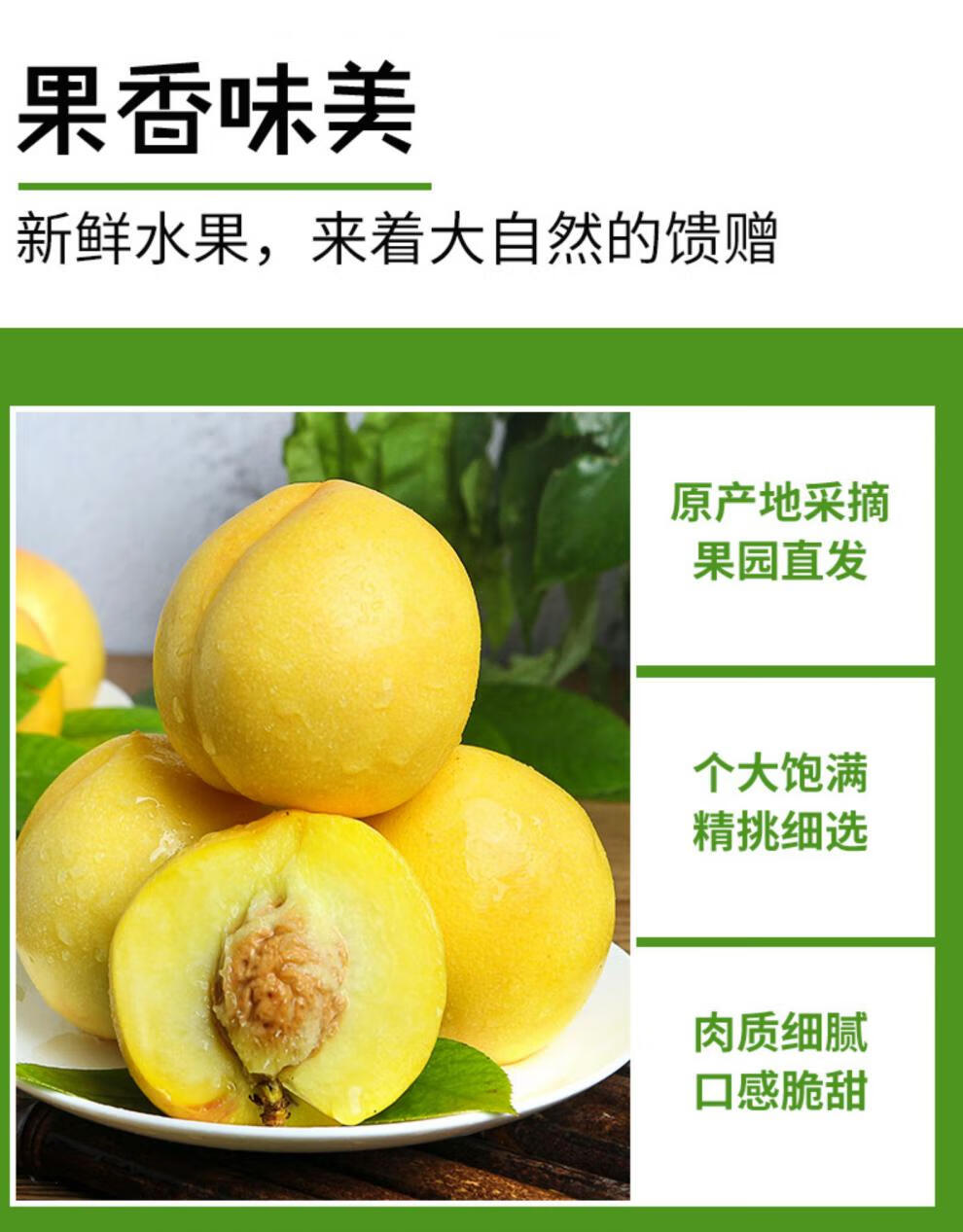 顺丰速发新鲜黄金油桃黄油桃桃子当季孕妇时令水果应季脆甜黄金蜜桃