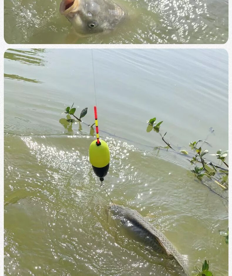 【jd优选】超声波鱼漂野钓诱【升级款】诱鱼震波漂自动找底夜光漂自动
