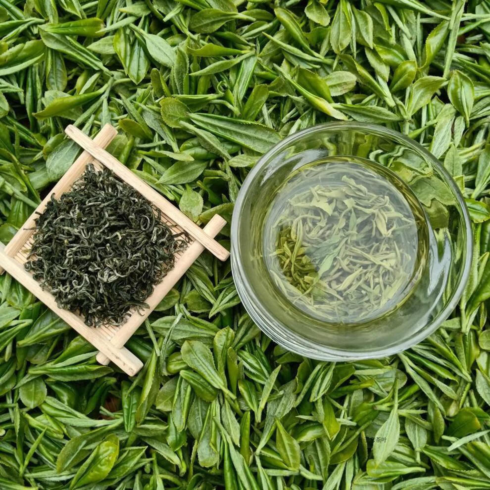 贵州毛尖茶手工茶叶2020年新茶雨前春茶高山绿茶散装125g 盒装一斤250