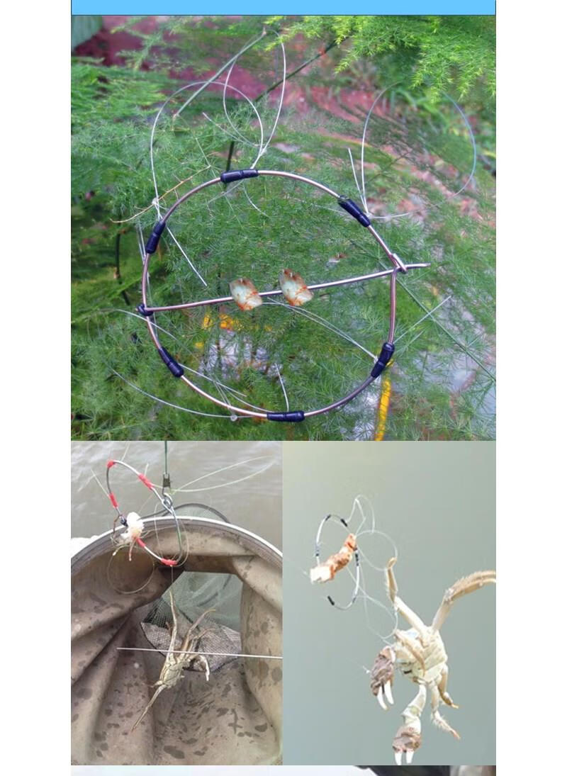 钓螃蟹钩 螃蟹神器螃蟹套螃蟹圈箍钓大闸蟹捉蟹青蟹抓螃蟹工具套装