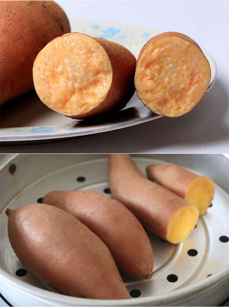 黄心红薯新鲜番薯黄壤地瓜山芋甘薯密云农家自种薯5斤