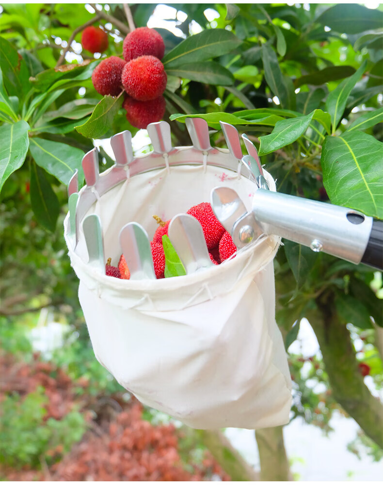 高空摘果器摘水果神器杏杨梅蓝莓摘果子可伸缩杆采摘果器工具 金属头