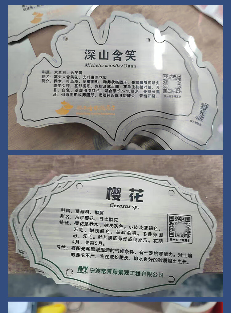 公园爱护花草标识牌 不锈钢树牌卡树木介绍牌学校树木认领卡公园植树