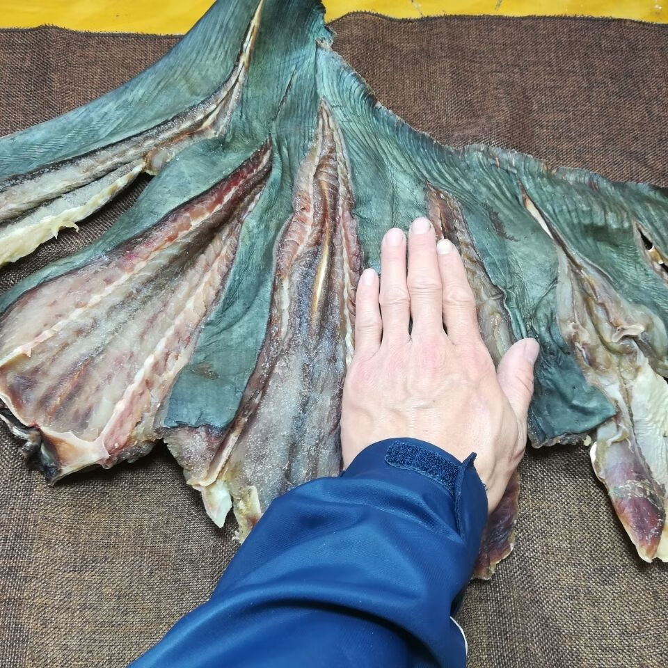 老板鱼干鱼肉皮鱼鳐鱼干咸鱼海鲜干货去头淡干老咸鱼魔鬼鱼劳鱼干